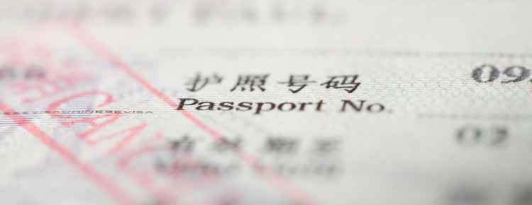 Passport Number On A Passport