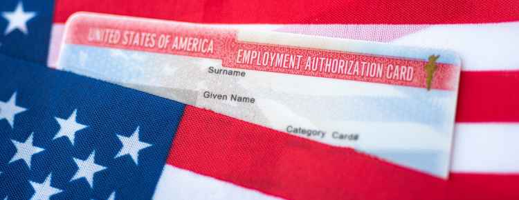 Employment Authorization Document (EAD)